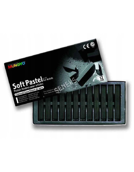 Dry charcoal pastels, set of 12 Mungyo pieces