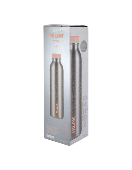 Thermal bottle 591 ml Silver